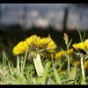 20120419_009